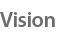Vision