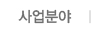 사업분야
