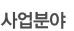 사업분야