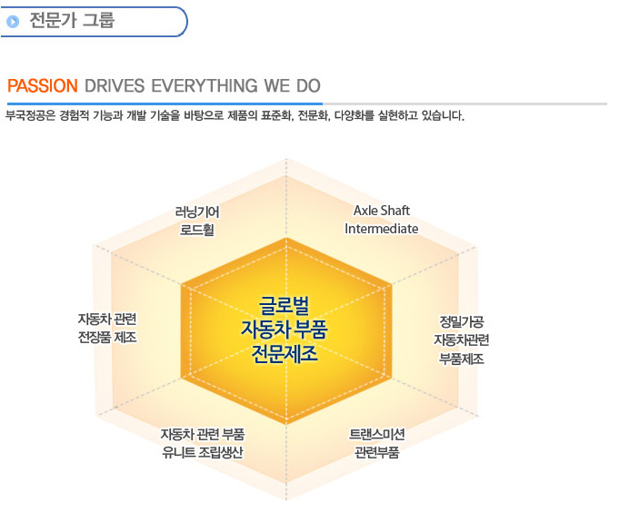 전문가 그룹